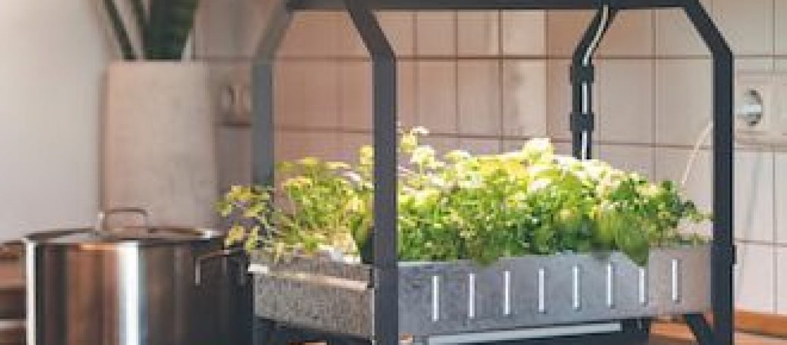 hydroponic grown herbs vegetables copy